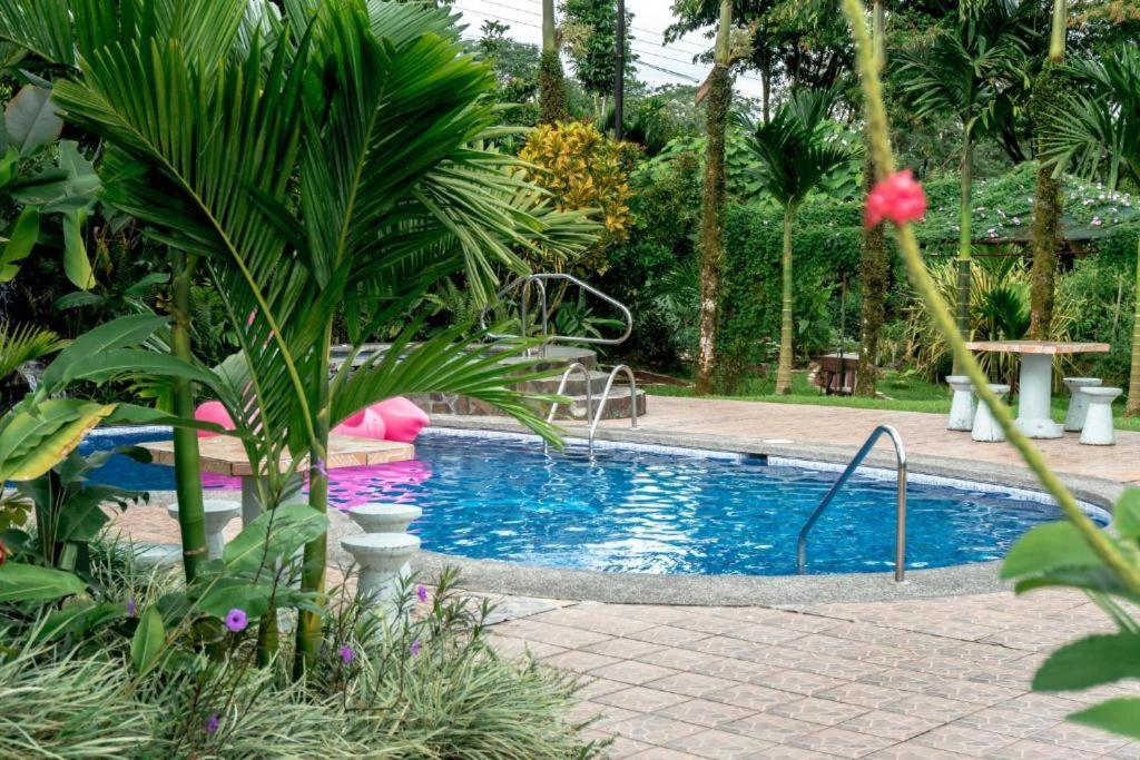 Hotel Vista Del Cerro La Fortuna Εξωτερικό φωτογραφία